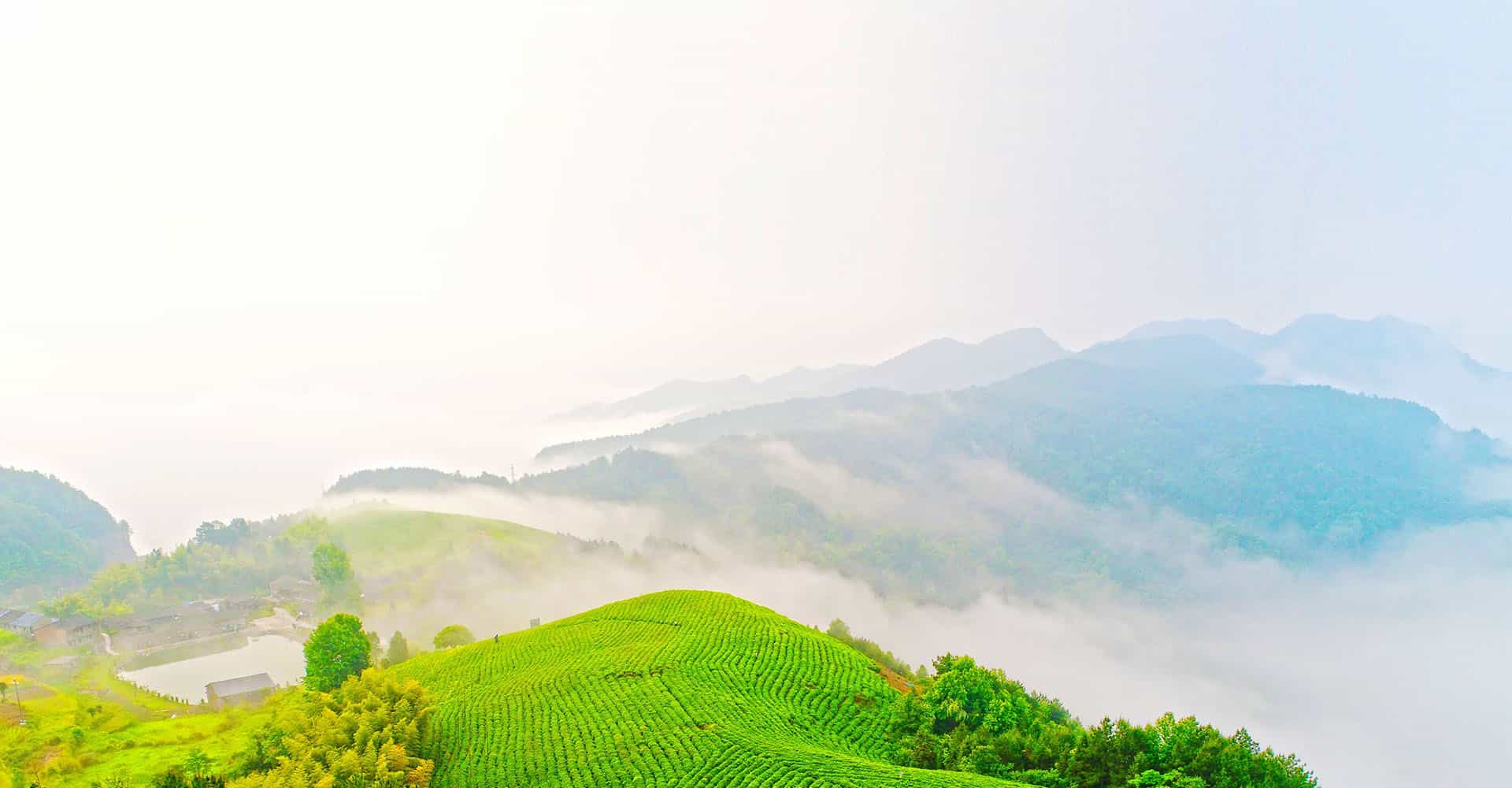 桿塔防墜落裝置